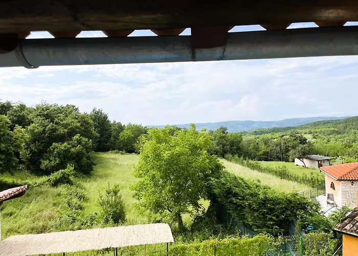 Caroiba * Karojba