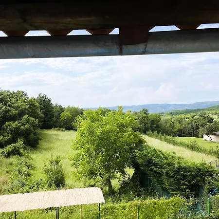 Caroiba * Karojba